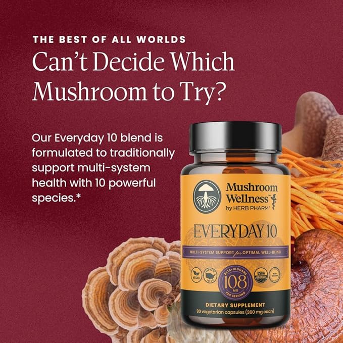 Mushroom Wellness Everyday 10: Organic 10-in-1 Mushroom Capsules with Lion's Mane Shiitake Reishi Turkey Tail &amp More Mushroom Powder Supplement Immune &amp Nervous System Support 90 Vegan C