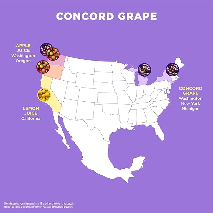 Spindrift Concord Freeze Grape Soda Made With Real Squeezed Fruit 12 Pack Case