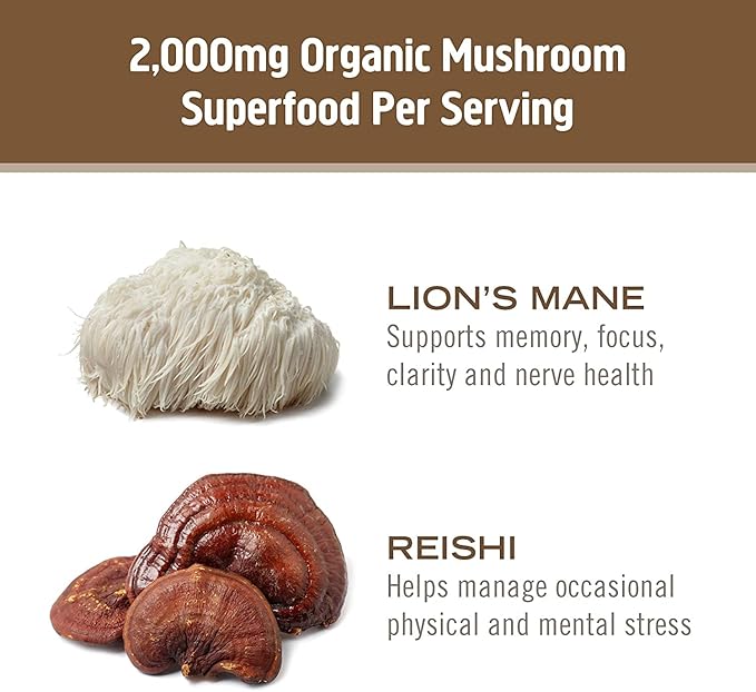 OM MUSHROOM SUPERFOOD Brain Fuel Mushroom Powder Capsules Superfood Supplement 90 Count 30 Days Lion's Mane Reishi Blend Plus Folate Mental Clarity Mushroom Supplement