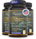 XpandAge Akkermansia Muciniphila with Multi-Strain ProbioticBerberine HCLCinnamonInulin Fiberfor Gut HealthEnergy (G*.L*.P*-1)Cellular Healthand Immunity|90 Veg Capsules for a 3-Month Supply