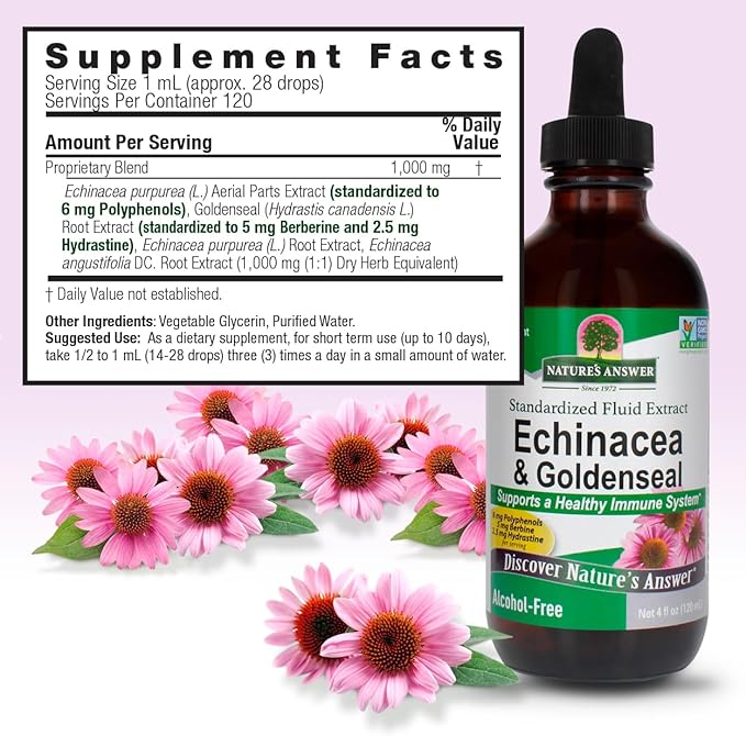 Nature's Answer Echinacea and Goldenseal | Supports a Healthy Immune System | Non-GMO Alcohol-Free Gluten-Free &amp Kosher Certified 4oz
