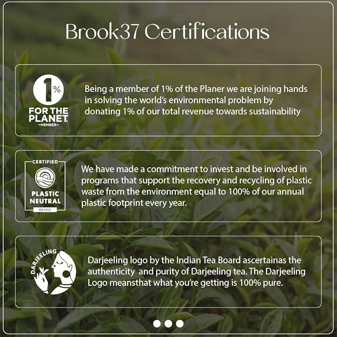 Brook37 Broadway's Cleopatra - Premium Single Estate DarjeelingGreen Tea | Low Caffeine | Smooth and Sweet Mild Like Flavor | 20 Tea Bags | Plastic Neutral Brand | Ideal Tea Gifts