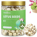 Baihuatang Natural Lotus Seeds for Tea Porridge Natural Dried White Lotus Seeds (Lian Zi) - 300g Herbal Tea &amp Cooking Ingredient Perfect for Porridge Soup and Traditional Recipes 莲子 百合银耳莲子羹原料