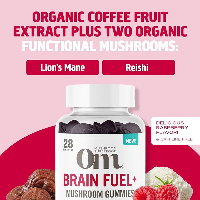 OM MUSHROOM SUPERFOOD Brain Fuel+ Gummies – USA Grown Organic Lion’s Mane – Supports Memory Focus &amp Cognitive Function – Raspberry Flavor – 28 Servings 56 Count.