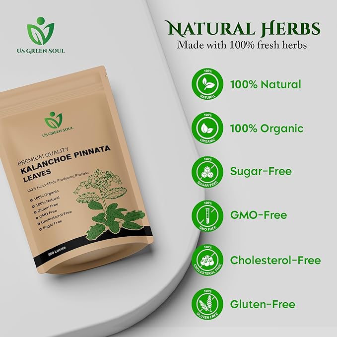 200 Kalanchoe Pinnata Leaves - 100% Pure Organic Dried Leaves for Teas Smoothies