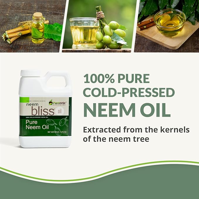 Neem Bliss (32 Fl Oz) - Pure Neem Oil Concentrate - 100% Cold Pressed Neem Oil - All-Natural Neem Oil Concentrate - Pure Neem Oil Extract - Unrefined Neem Oil for Hair - Neem Seed Oil Concentrate