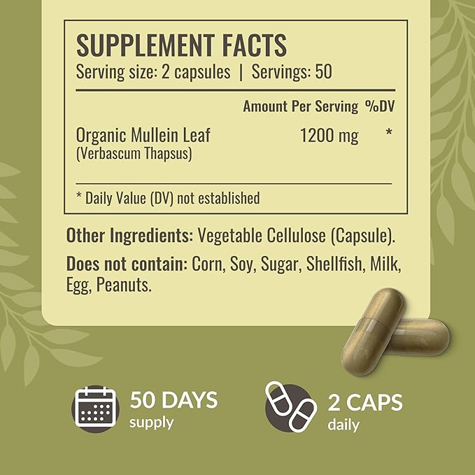 HERBAMAMA Mullein Leaf Capsules - 1200mg Mullein Leaf Extract for Lung Detox Support - Vegan Non-GMO Respiratory Lung Cleanse Supplement (Pack of 2)
