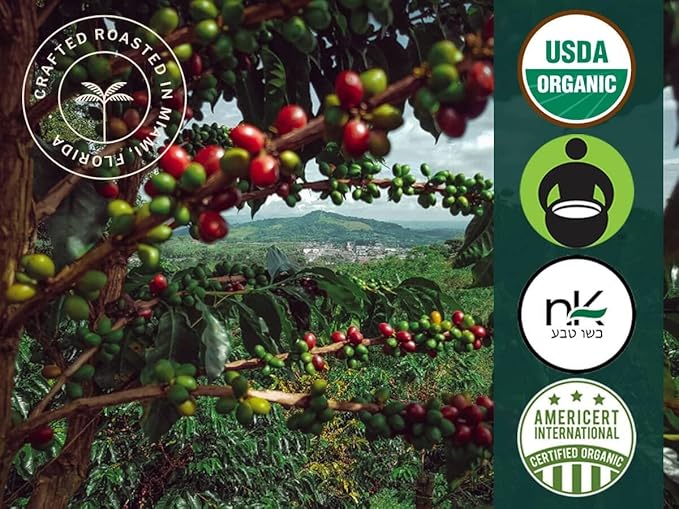 Artizan Coffee USDA Organic Ground Coffee | Hemp Coffee Fusion | Medium-Dark Roast | Medium Grind for Drip | 10 oz | Roasted in South Florida