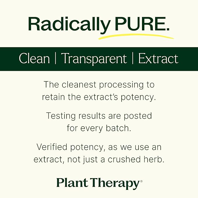 Plant Therapy Passion Flower Capsules Manufactured in USA Calms Nerves Supports Sleep Great Way to Wind Down Supplements for Women &amp Men 120 Count Vegetarian Capsule
