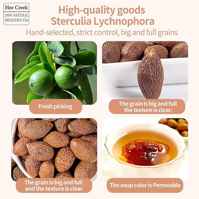 Hee Creek Malva Nut Dried Sterculia Lychnophora 5.3oz/150g Dried Pang Da Hai Dried Pangdahai Chinese Herbal Tea 胖大海 It goes well with honeysuckle and luohanguo