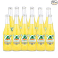 Spot Beverage™ Premium Classic Bottled Soda Brands (12-Pack Jarritos Pineapple)