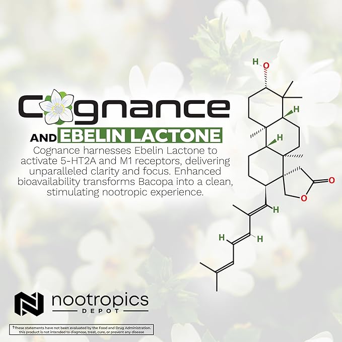 Nootropics Depot Cognance Enhanced Bacopa Capsules | 100mg | 10% Ebelin Lactone | Bacopa monnieri | Mood Memory &amp 5-HT2A Activation 60 Count (Pack of 1)