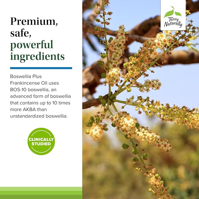 Terry Naturally Boswellia Plus Frankincense Oil - Joint Support Supplement to Support Mobility &amp Joint Comfort - Support Cellular Health with Boswellia &amp Frankincense Oil - 60 Softgels
