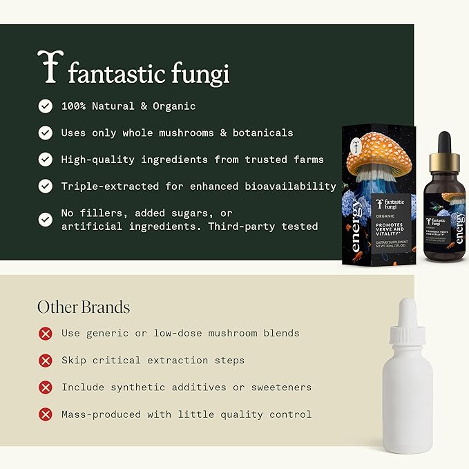 Fantastic Fungi Cordyceps Mushroom Tincture Drops - 4-in-1 Stress Support &amp Energy Elixir with Ginseng Turkey Tail &amp Rhodiola - Organic Mushroom Extract Liquid 30 Servings 1 fl oz