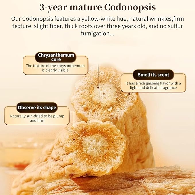 Baihuatang Natural Dried Codonopsis Root Tea 党参 Premium Grade Dang Shen (Codonopsis Pilosulae) | 3-Year Grown Hand-Picked Uniform Size | 200g (7.05oz) Bulk Herbs | No Additives Sulfur-Free