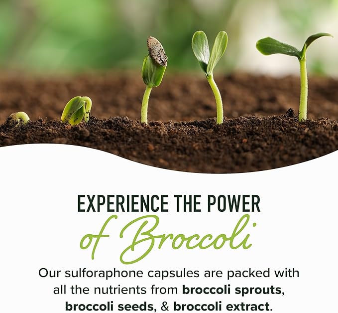 50MG Sulforaphane Supplement from Broccoli Sprouts | NRF2 Activation Cellular Health &amp Immune Support | Glucoraphanin Myrosinase &amp Antioxidants | Third-Party Tested | 60 Broccoli Seed Microb