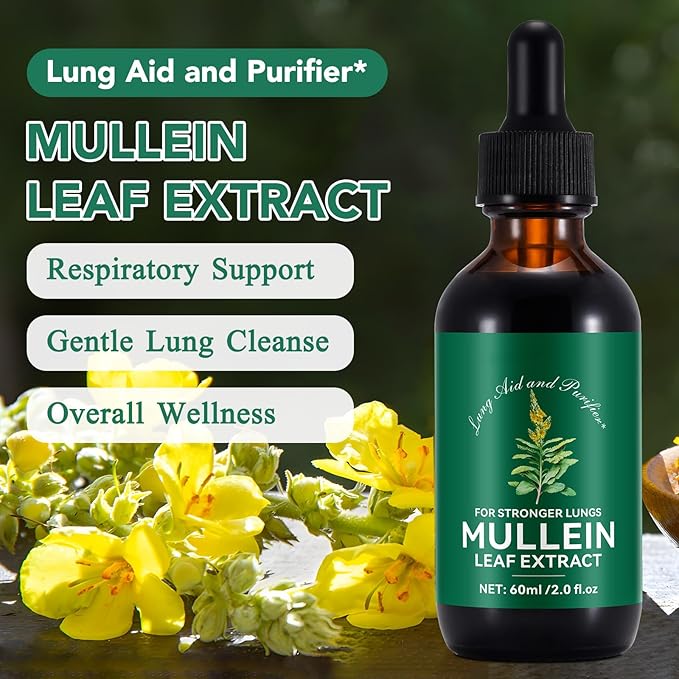 2 Pack Mullein Drops for Lungs Mullein Leaf Extract with ChlorophyllMullein Leaf Extract for Lung Cleanse and Respiratory Support -2 Bottles