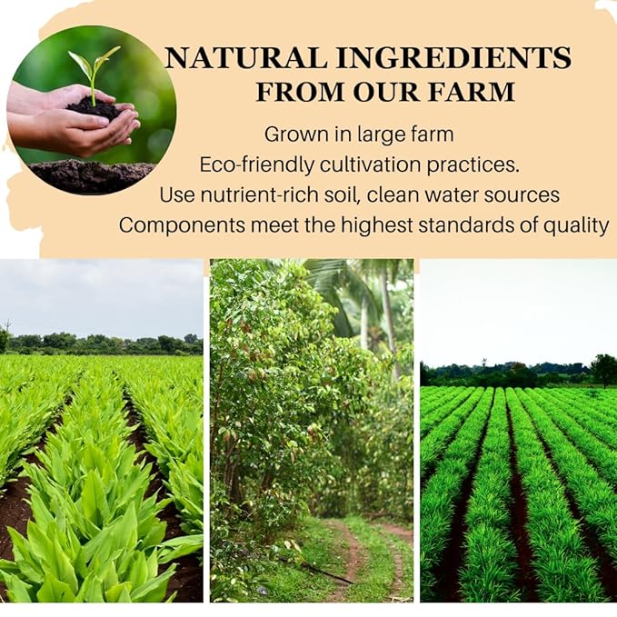 VIDA FARM 50 Turmeric Ginger Cinnamon Tea Bags 100% Natural Ginger Cinnamon Turmeric Tea Te De Curcuma Jengibre Herbal Tea Sugar Free Caffeine Free Gluten Free