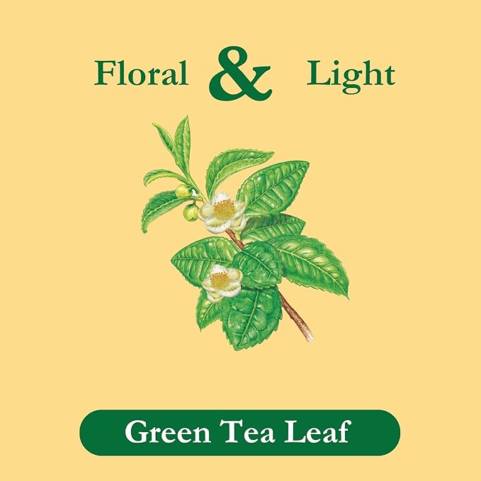 Tadin Green Tea Herbal Tea Green Tea Bags Caffeinated Tea Tea Bags Individually Wrapped 24 Tea Bags Pack of 6