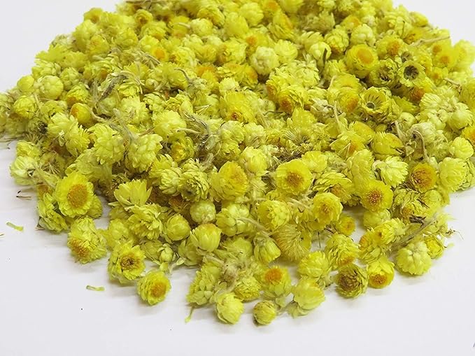 Immortelle Helichrysum Dried Flowers from Armenia 7 OZ 200 grams Wild Harvest PREMIUM QUALITY