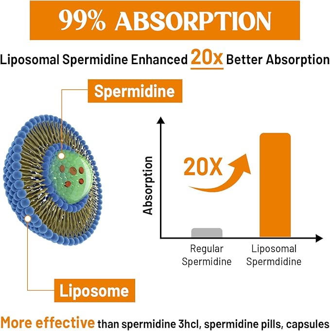 30mg Spermidine Supplement for Men &amp Women High Absorption More Potent Than Spermidine 3HCL - for Cellular Renewal Longevity &amp Cognitive Fermented Wheat Germ Extract Pure &amp Natural 1