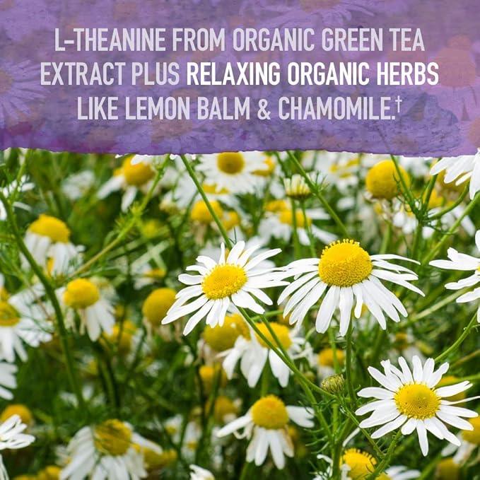 Garden of Life Organics Sleep Well Rest &amp Refresh 30 Tablets Lemon Balm Green Tea Extract L-Theanine Valerian Root Chamomile Probiotics-Organic Non-GMO Vegan Gluten Free Herbal Supplement