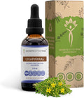 Secrets of the Tribe Chaparral Alcohol-Free Liquid Extract Chaparral (Larrea tridentata) Dried Leaf and Flower Tincture Supplement (2 FL OZ)