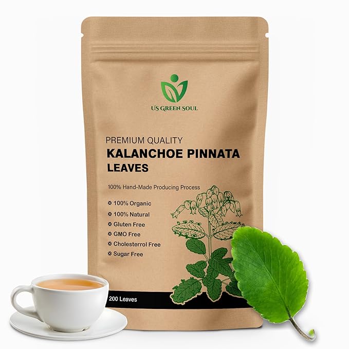 200 Kalanchoe Pinnata Leaves - 100% Pure Organic Dried Leaves for Teas Smoothies