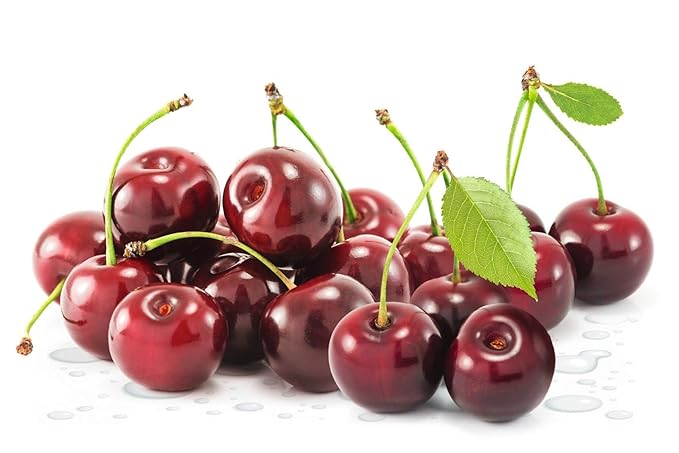 Biotta Tart Cherry Juice - 100% Natural Organic Cherry Fruit Juice - Excellent Source of Vitamin C and Potassium (16.9 Fl.Oz Pk of 6)