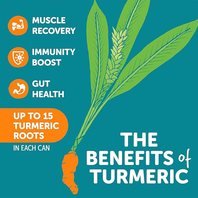 ZYN Turmeric Wellness Drink (24 Pack) Lemon Ginger Flavored Turmeric Curcumin with Black Pepper No Added Sugar Low Carb &amp Low Calorie Clean Alternative
