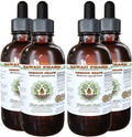 Hawaii Pharm Oregon Grape Alcohol-Free Liquid Extract Oregon Grape (Mahonia aquifolium) Dried Root Glycerite Natural Herbal Supplement USA 4x4 fl.oz