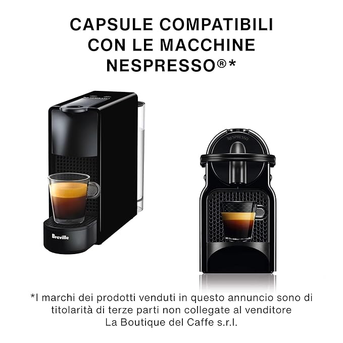 ITALIAN COFFEE Espresso pods compatible with Nespresso Original machines Aluminum Organic capsules (The Mondrian aluminum 100 count (Pack of 1))