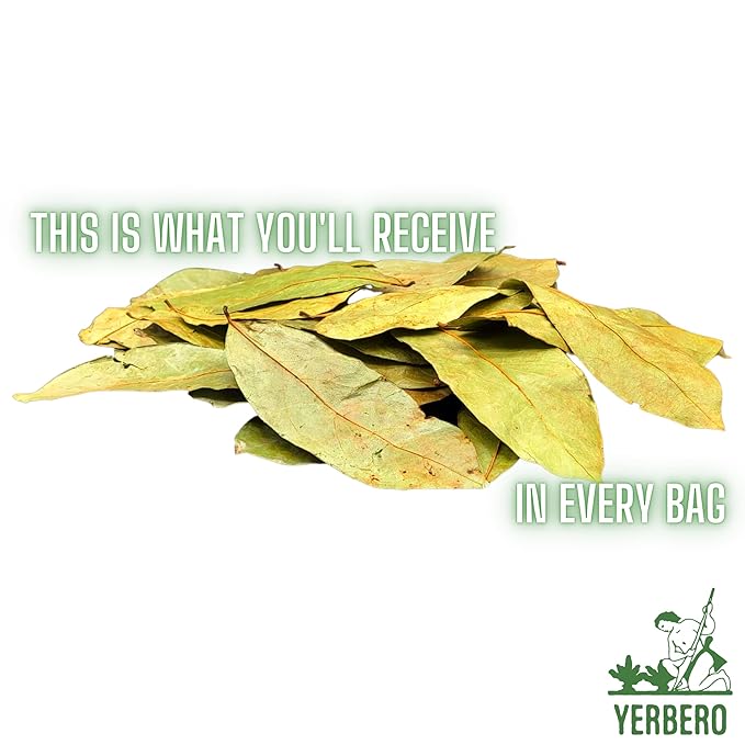 Yerbero - Whole Wildcrafted Dried Graviola Soursop Leaves 1 LB (453g - 1300+ Leaves Per Bag) Hoja De Guanabana Seca Crafted By Nature | Vacuum Sealed for Freshness | From Mexico | Premium Quality.
