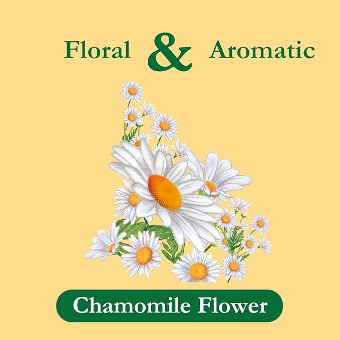Tadin Organic Chamomile Tea Caffeine Free Herbal Tea to Eases Tension and Support Digestion 20 Tea Bags Per Box Pack of 6