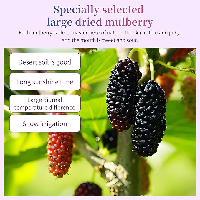 Wanhua Hall Premium Dried Black Mulberries Fruit Black Mulberry Tea No Sugar Added No Additives All Natural Unsulfured Great for Desserts and Tea Healthy Fruit Snack 黑桑椹干 桑葚280g/10oz