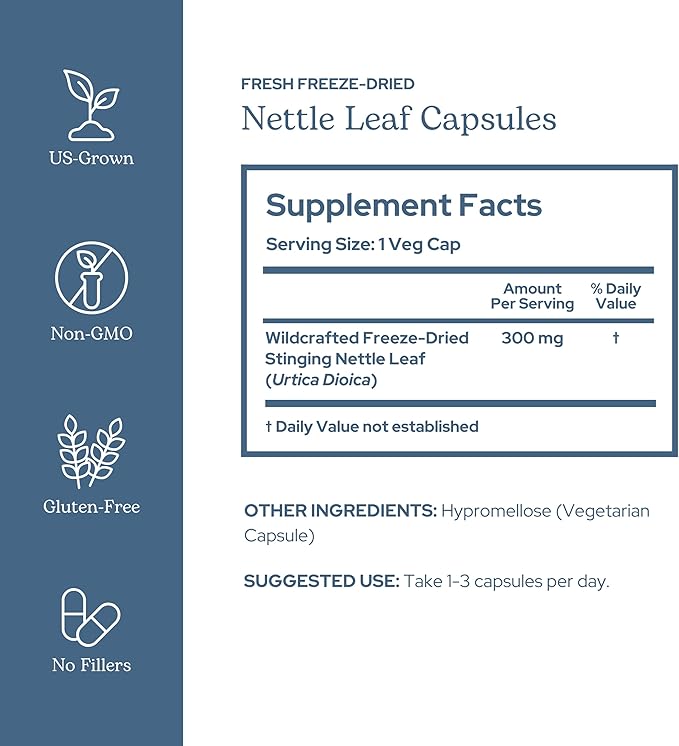 Eclectic Herb - Raw Freeze Dried Nettle Leaf Capsules | Supports Sinuses + Immune Response | Natural Herbal Supplement | Non-GMO Vegan Whole Herb (90 CT | 300 mg)