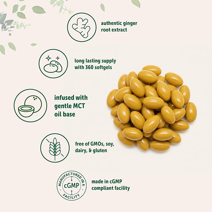 Micro Ingredients Ginger Root with MCT Oil 360 Softgels | Fresh Ginger Root Extract | Herbal Supplements for Women &amp Men | Non-GMO Gluten Free Soy Free