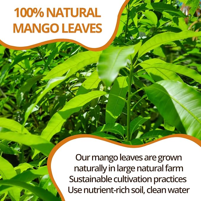 VIDA FARM 125 Mango Tea Bags 100% Natural Dried Mango Leaves Herbal Tea Bags Handpicked Leaves Tea No Sugar No Caffeine Vegan
