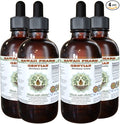Hawaii Pharm Gentian Alcohol-Free Liquid Extract Gentian (Gentiana Lutea) Dried Root Glycerite Natural Herbal Supplement 4x4 oz