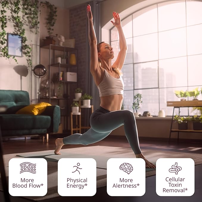 VINIA Premium Matcha + Green Tea K-Cup Pods Made with Organic Tea Infused with Piceid Resveratrol for Heart Health Nitric Oxide Physical Energy Alertness Blood Flow Keto Kosher NON-GMO. 30 Ct