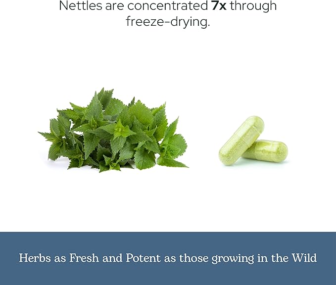 Eclectic Herb - Nettle Quercetin Capsules | Non-GMO Vegan | 90 CT