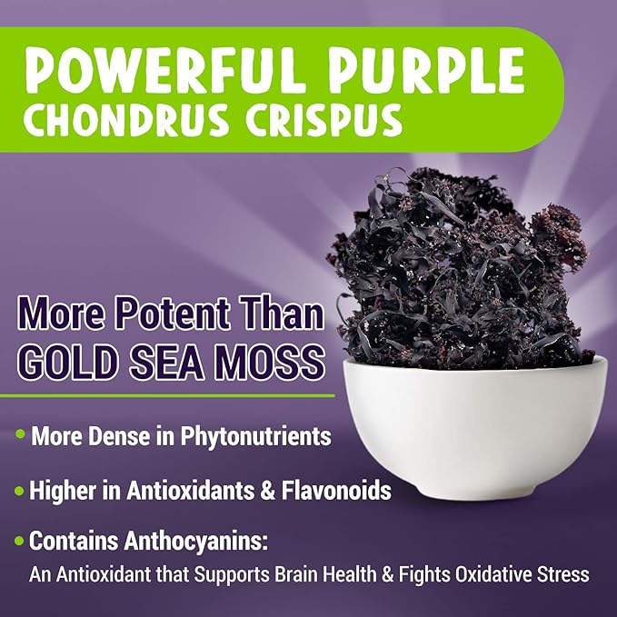 MAJU's Powerful Purple Sea Moss Capsules (60 ct) Extra-Strength Purple Minerals Chondrus Crispus Stronger Than Gel Compare to Organic Irish Seamoss Capsule Wild Harvested Powder Pills