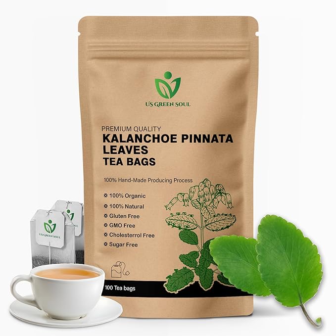 Kalanchoe Pinnata Leaves Tea Bags 50 Tea Bags Healthy Organic Leaves Herbal Tea