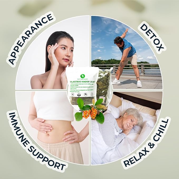 Celastrus Hindsii Leaf Tea - Re-Steep Pure Whole Leaves Vacuum Sealed - 4.23 oz Support HealthSystem Natural Herbal Tea No Sugar No Additives