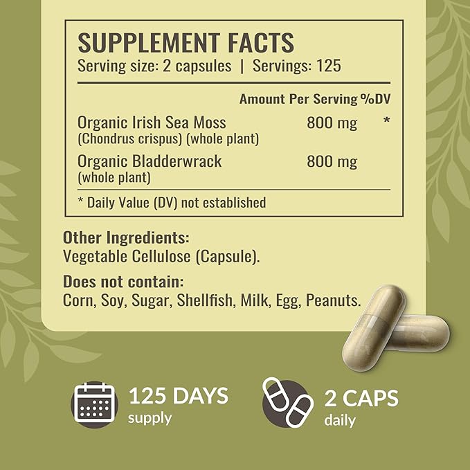 HERBAMAMA Irish Sea Moss Capsules - 1600mg Sea Moss and Bladderwrack for Immune Support - Vegan Non-GMO Immunity Supplement for Overall Support