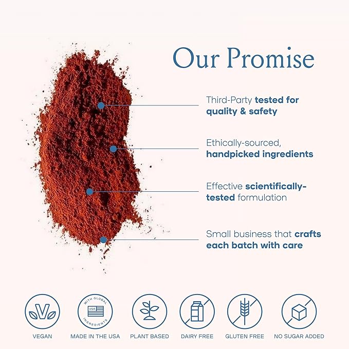 Mushroom Coffee 20 Cups of Focus Productivity &amp Clean Energy Instant Mushroom Coffee with Lions Mane Cordyceps and L-Theanine