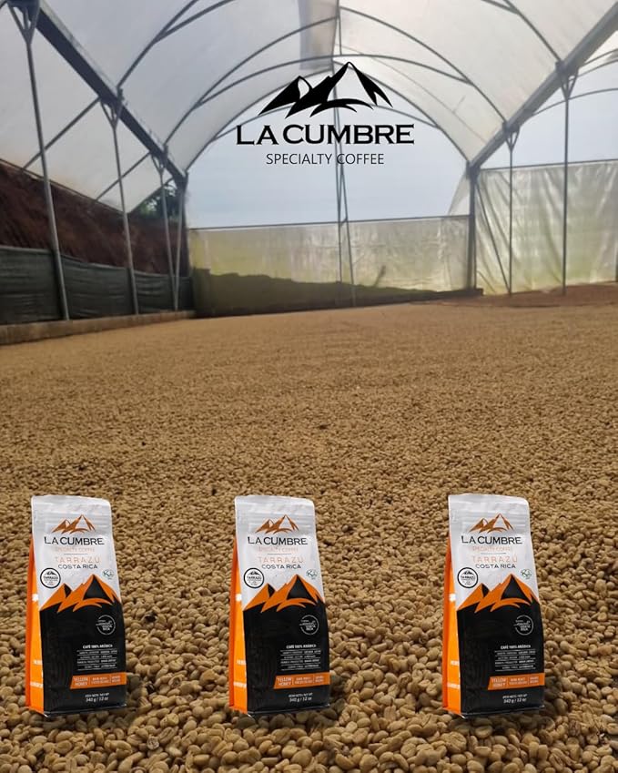 La Cumbre Specialty Coffee Ground Medium Roast Arabica Beans Low Acid Gourmet Vegan Kosher &amp Keto Friendly Yellow Honey Process 12 oz 2 Pack