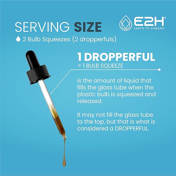 E2H Liver Support Supplement with Milk Thistle - Liver Health Formula - Artichoke Extract Dandelion Root Chanca Piedra and More - Absorbent Liquid Formula (2 Bottles)