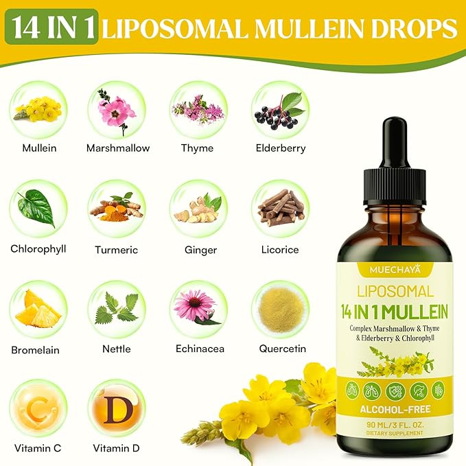 Mullein Drops For Lungs Liposomal 14 In 1 Mullein Leaf Extract For Lungs Mullein Drops with Elderberry Chlorophyll Thyme - for Lung Cleanse Detox Respiratory Immune Health 3 Fl 0Z Mint Flavor
