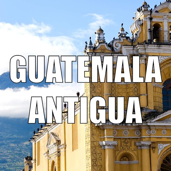 Guatemala Coffee Antigua Whole Bean Medium Roast Single Origin Fresh Roasted 5 lbs